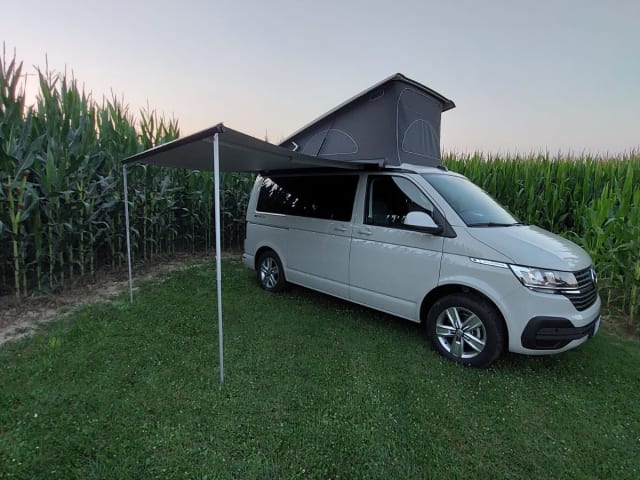 Adventure_van_rent – VW California T6.1 Beach