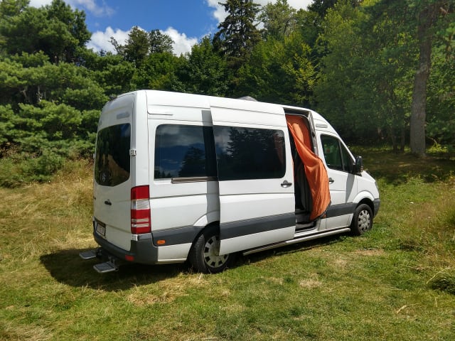 Autobus Mercedes-Benz 4p de 2004