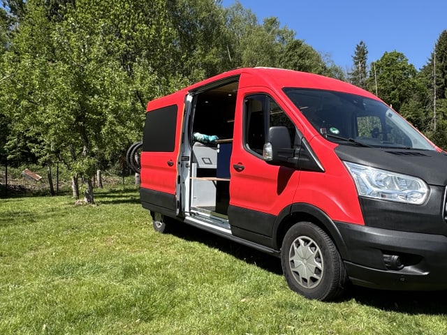 Rocco – 2-seater Ford bus from 2016