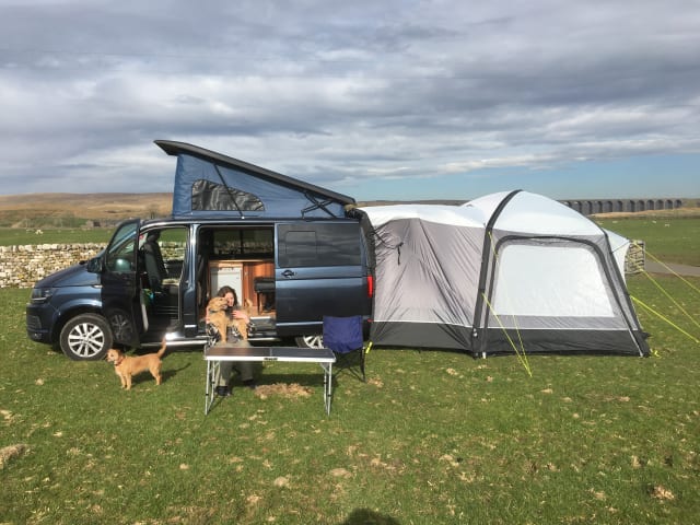 4 berth Volkswagen campervan 2016 6 speed, unique wooden interior