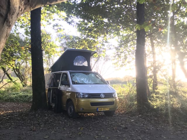 JoeJoe – Volkswagen Campingbus mit Aufstelldach