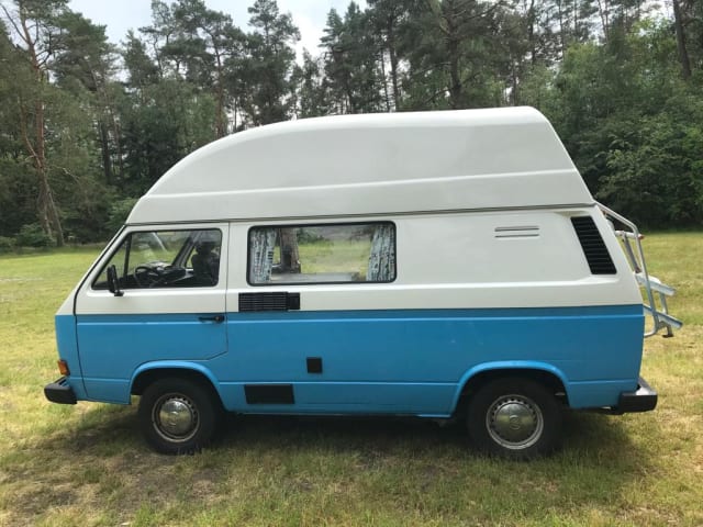 Frenk – Frenk, a beautiful T3 camper is looking for travel companions