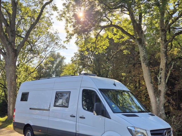 Zweisitziger Mercedes-Benz Bus aus dem Jahr 2016