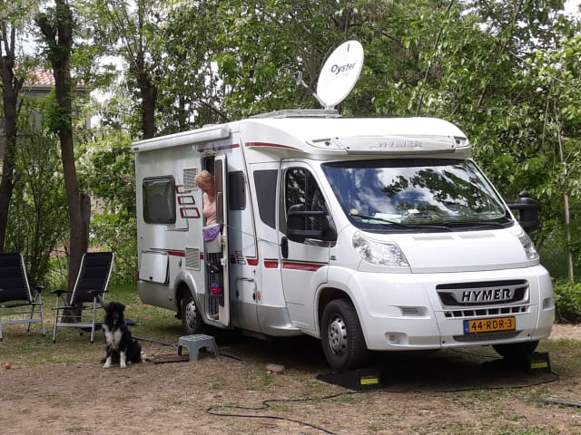 Kievit – 2p Hymer Teilintegrierte ab 2010 (mit Platz für 3. Person)