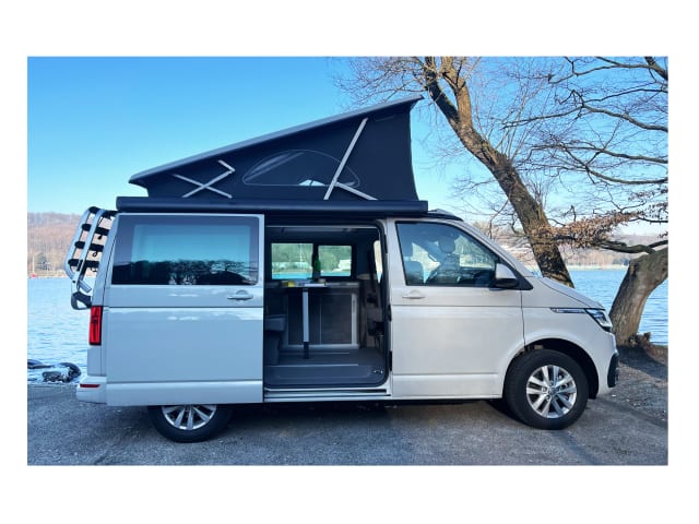 Van & Vanish 303 – Volkswagen California Ocean  