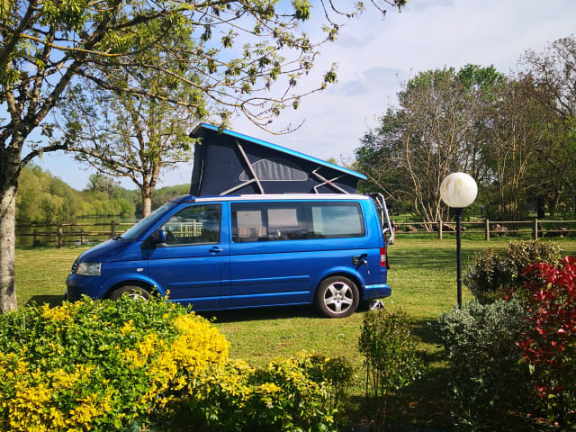 VW T5 GP California High roof from €99 p.d. - Goboony