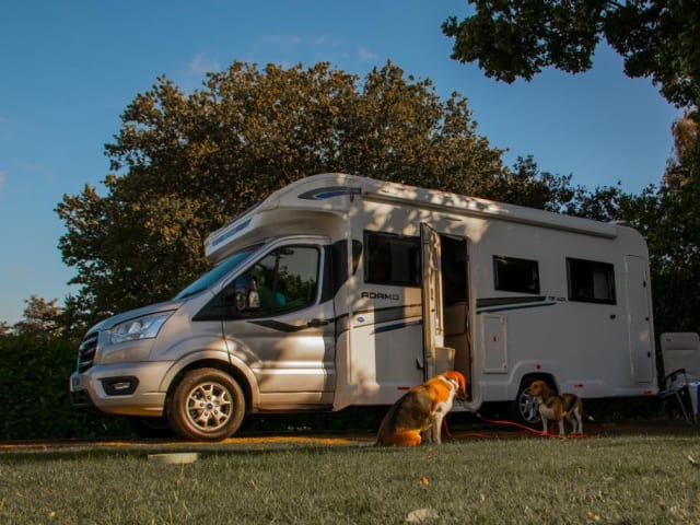 Lily – Lily - Luxury 4 Berth, Automatic Motorhome 