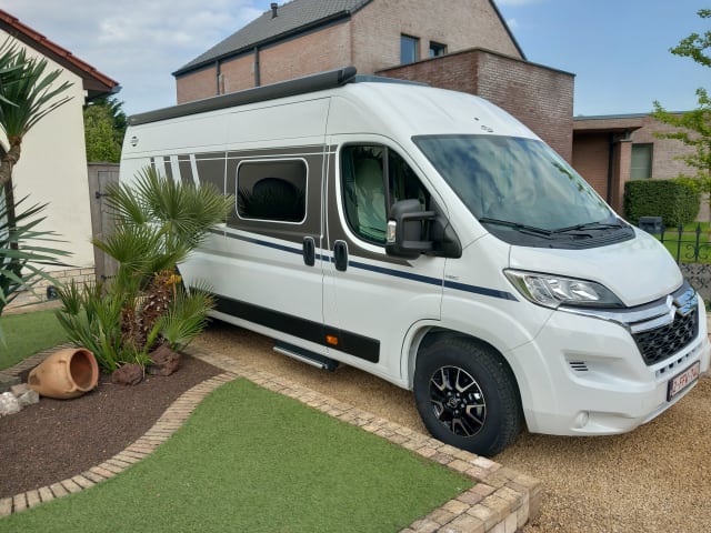 Amapola-van – Te huur Carado campervan uit 2024