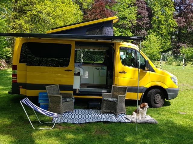 Lange mensen bus, Yello Submarine