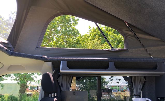 Betsy 4 Berth VW Transporter T6