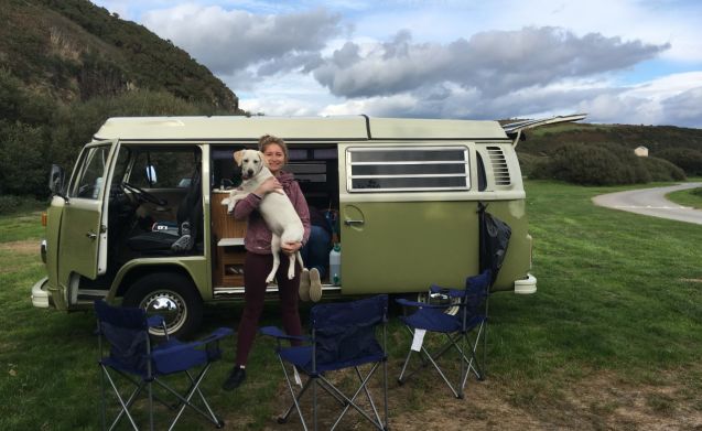 Dave – Classic VW Bay Window Glamper Van in North Wales