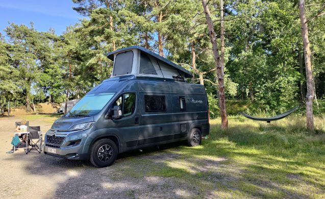 Clever Van mit Dachzelt (4 Personen) - Baujahr 2022 ab 118  p. T.  Goboony