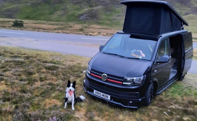 Maisie – Stylish 4berth, pet friendly, automatic VW campervan from