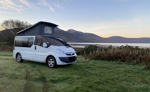 Penguin – berth vauxhall vivaro from 2008 from £62 Goboony