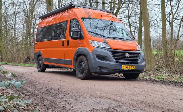5-Personen-Buscamper Fiat Ducato (Baujahr 2017) (Baujahr 2023) ab 94  p.  T.  Goboony