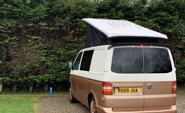 Volkswagen motorhome for 2 people in Denton