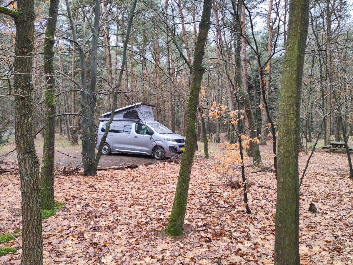 Ecobusje – Elektro-Wohnmobil für zwei Personen von Ecobusje ab 109