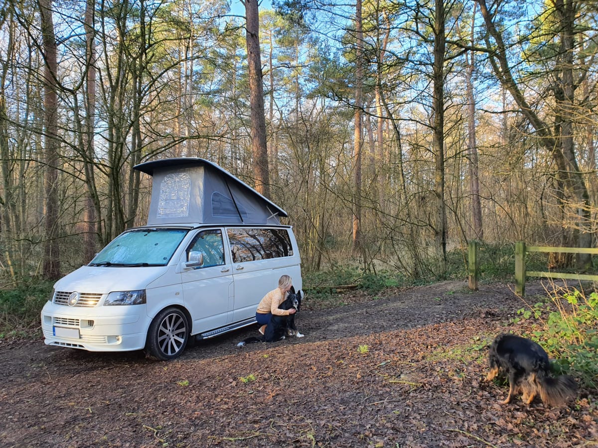 The White Pearl - VW T5 Campervan from £85.00 p.d. - Goboony