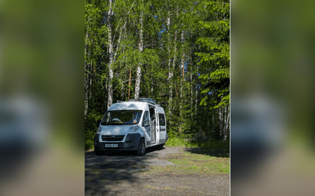 Rental - Campervan - null - #95681