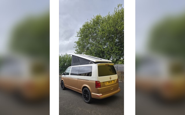 Rental - Campervan - null - #91660