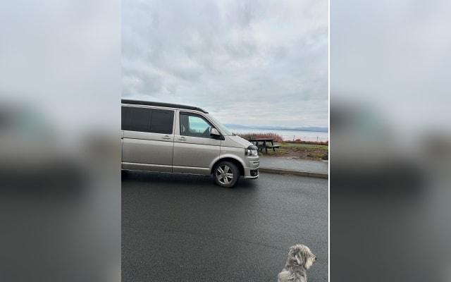 Rental - Campervan - null - #94224