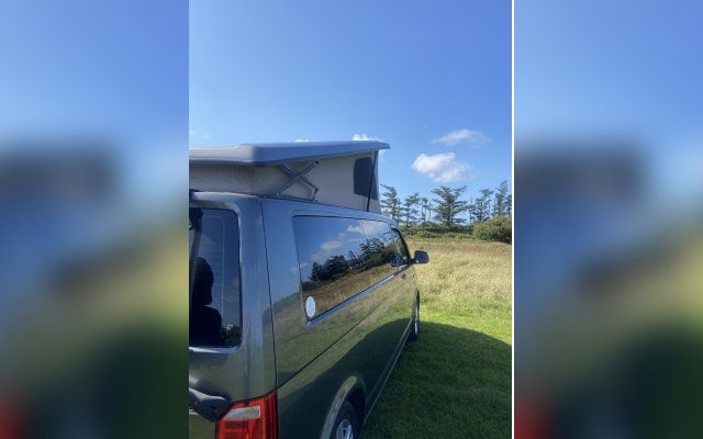 Rental - Campervan - null - #75070