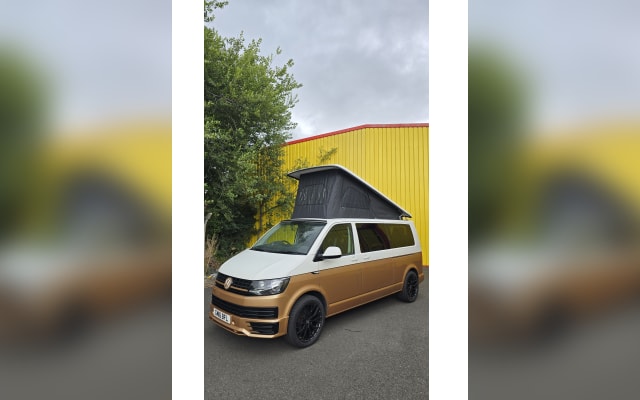 Rental - Campervan - null - #91660