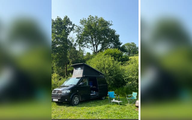 Rental - Campervan - null - #87835