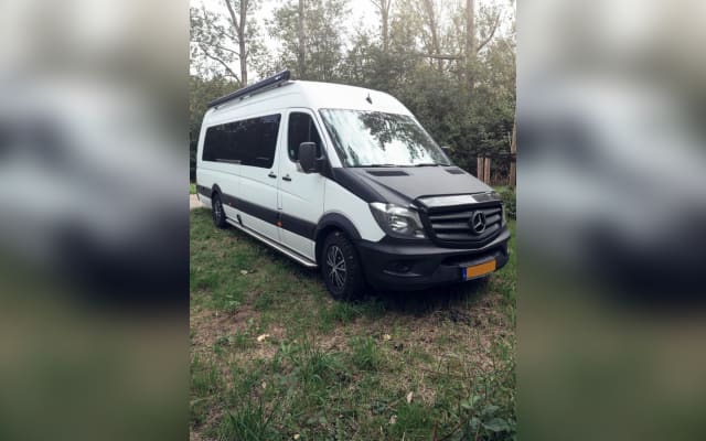 Boeking - Buscamper - null - #93696