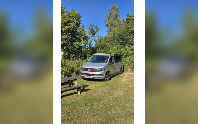 Rental - Campervan - null - #98773