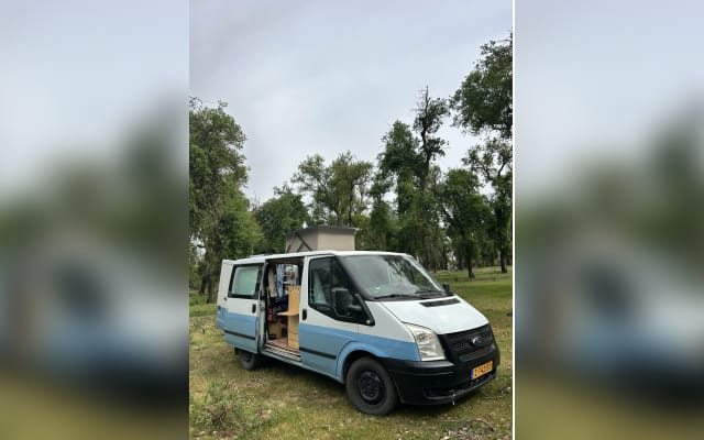 Viaggio - Van - null - #95452