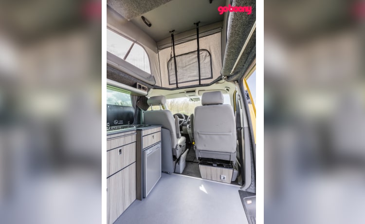 Sunny – Autobus Volkswagen 2p del 2015