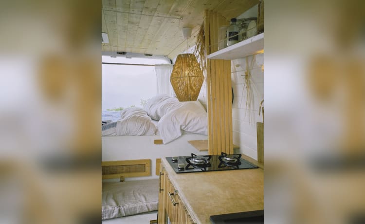 Tao the Van – Camping-car Mercedes Sprinter neuf Automatique