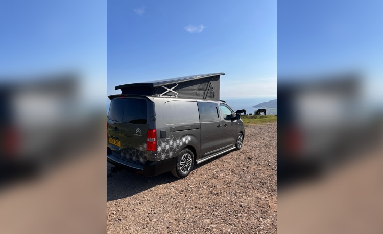 Honey  – 4 berth Citroën campervan from 2021