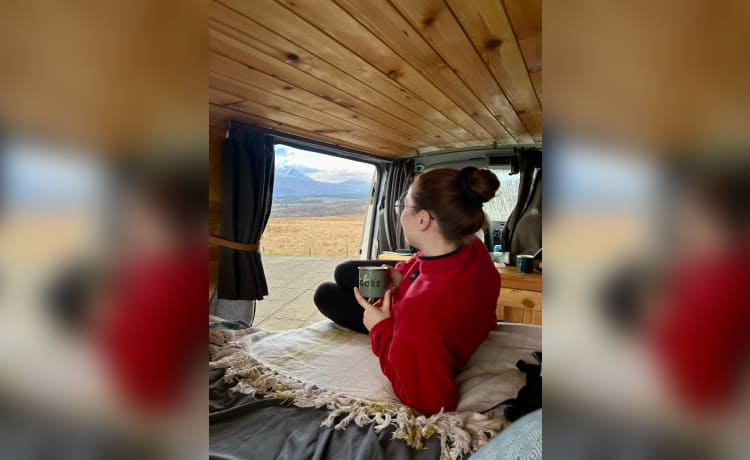 Scandi – 2 berth Volkswagen campervan 