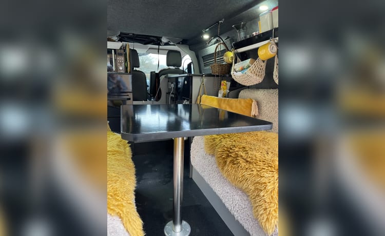 Frank – 4 berth Ford campervan from 2014