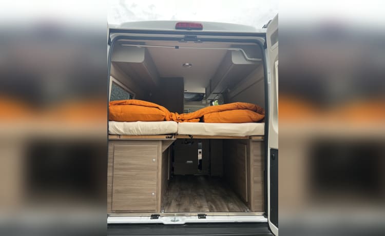 Bonny – Camper Carado 4p del 2024