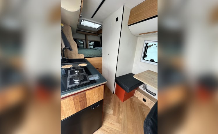 Sprinterone  – Van Mercedes Sprinter 