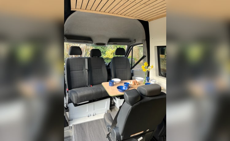 Bolt – Mercedes-Benz Sprinter Van 5 places 2016