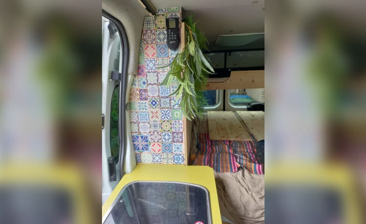 Ben the Van – Beautiful campervan suitable for family