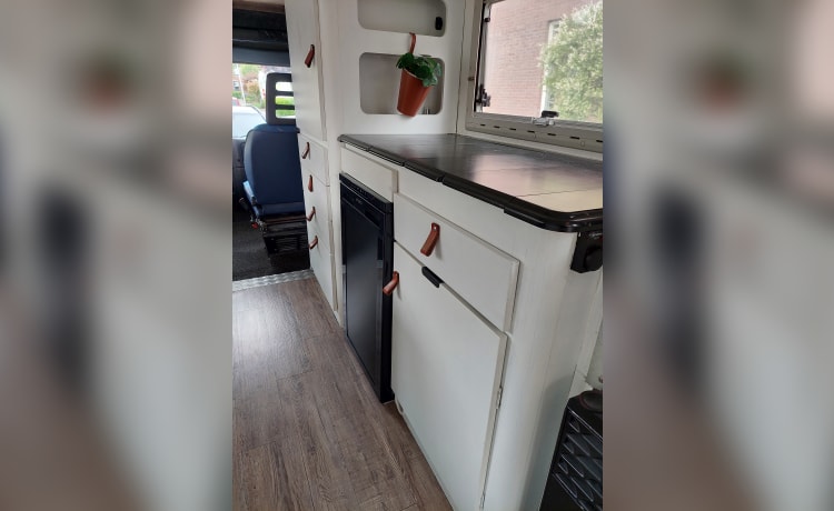 Skip – Camper familiare Salta VT Living Style