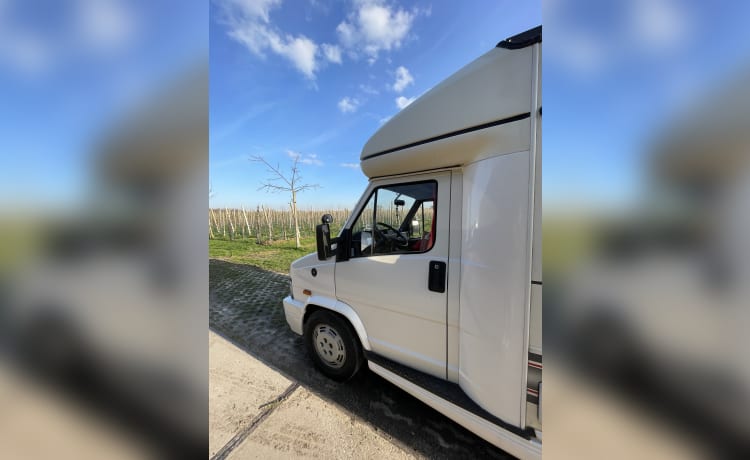 Freebird – Gezellig camper voor heerlijke roadtripjes