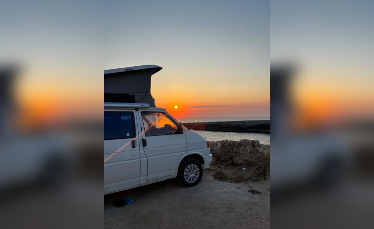 Calì  – Salento in een Volkswagen T4 California Coach-busje