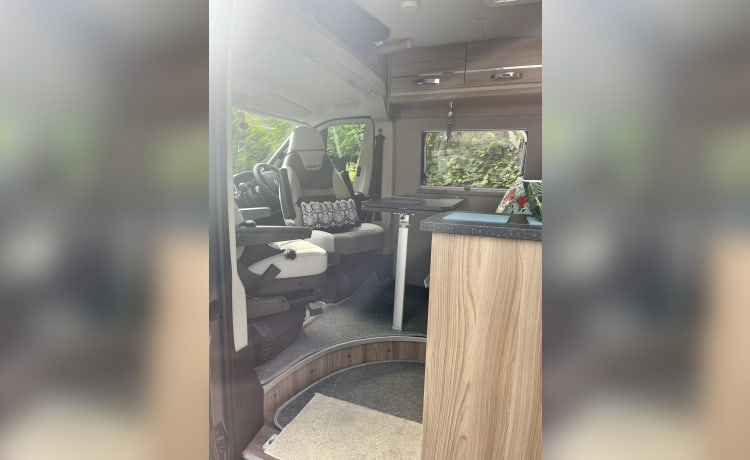 Bumble  – 4 berth Swift Select 184