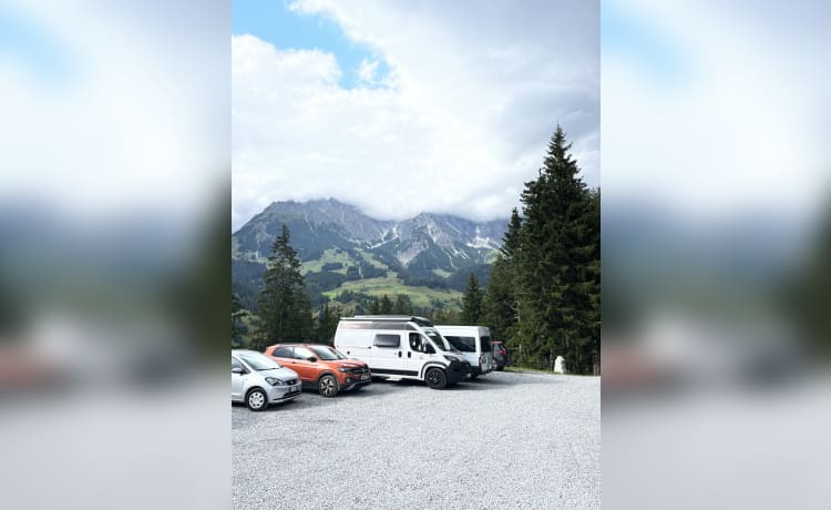 Borboleta – Fiat Ducato Challanger VIP