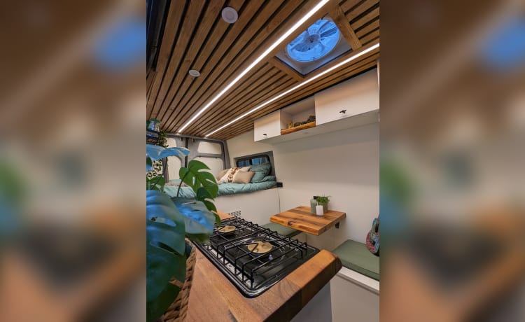 Muriël – Off-grid campervan met alle luxe