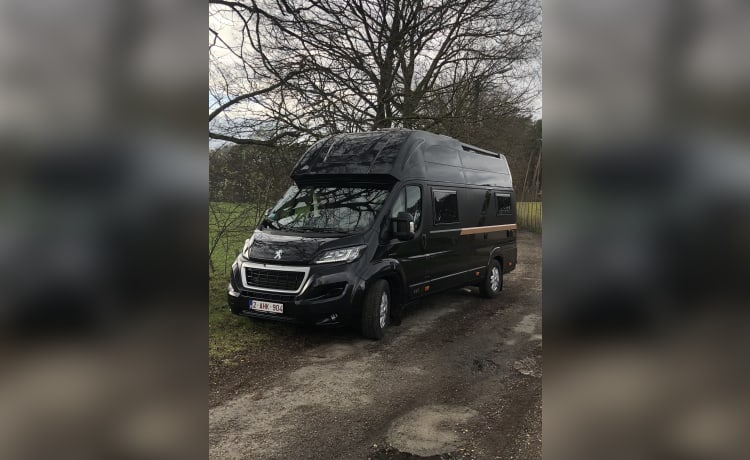 4p Peugeot bus uit 2020