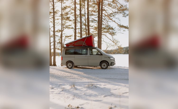 Camper Volkswagen a 4 posti letto dal 2021