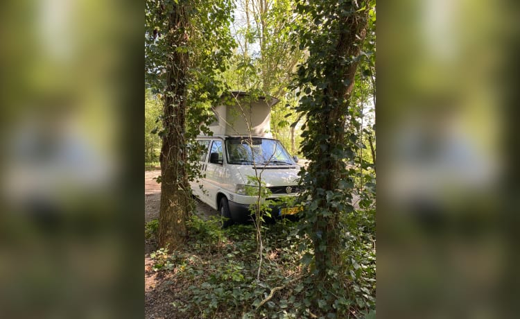 Wonderful California VW camper T4, 4 people with air conditioning and air fryer