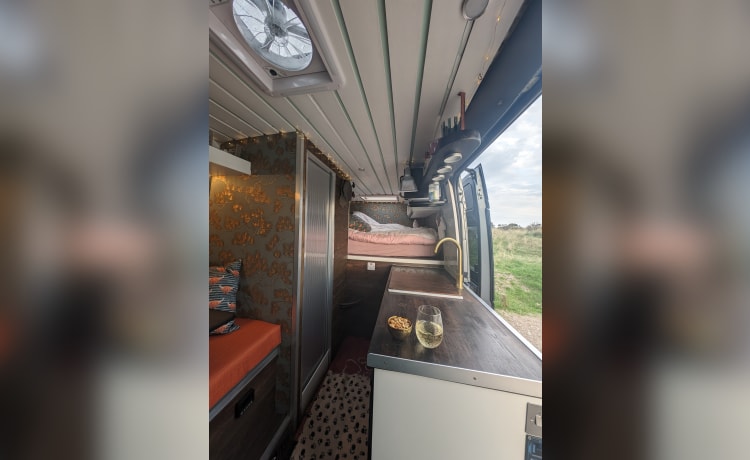 Big Ed – 2 berth Citroën campervan from 2022